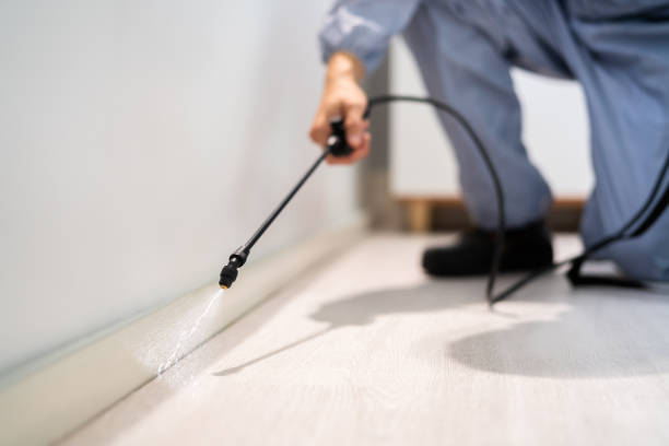 Licensed Termite Control service in New Vienna, OH - Nex Pest Control