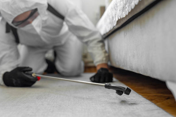 Professional Termite Control technician working in New Vienna, OH