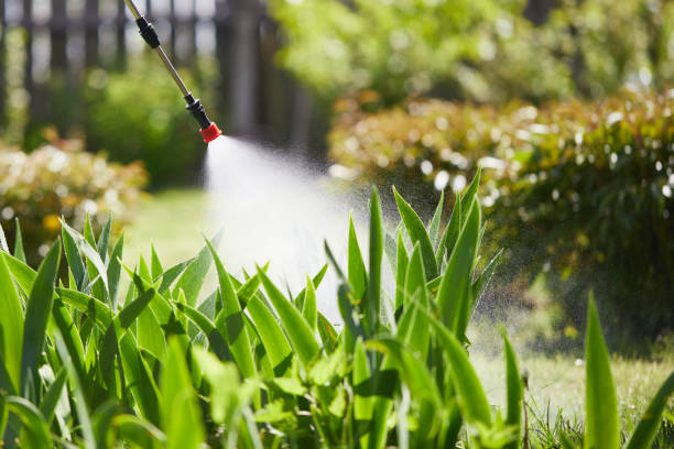 24/7 Emergency Termite Control experts in New Vienna, OH
