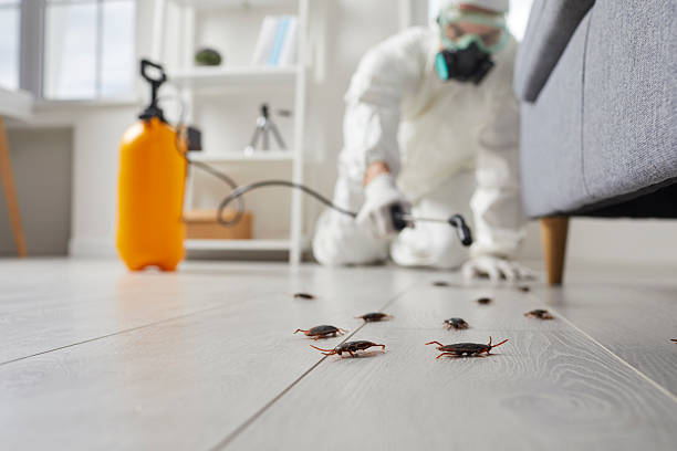 Trusted Rodent Control service in New Vienna, OH - Nex Pest Control