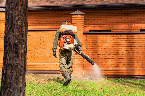Trusted Termite Control service in New Vienna, OH - Nex Pest Control
